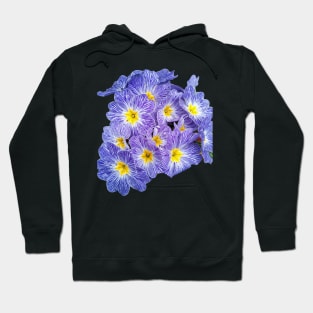 African Daisy Hoodie